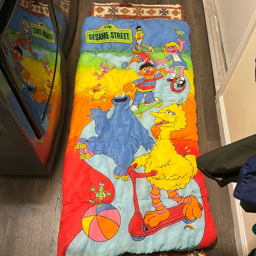 Vintage Sesame Street Sleeping Bag